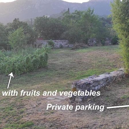 Villa Grecia Λιαπάδες Εξωτερικό φωτογραφία
