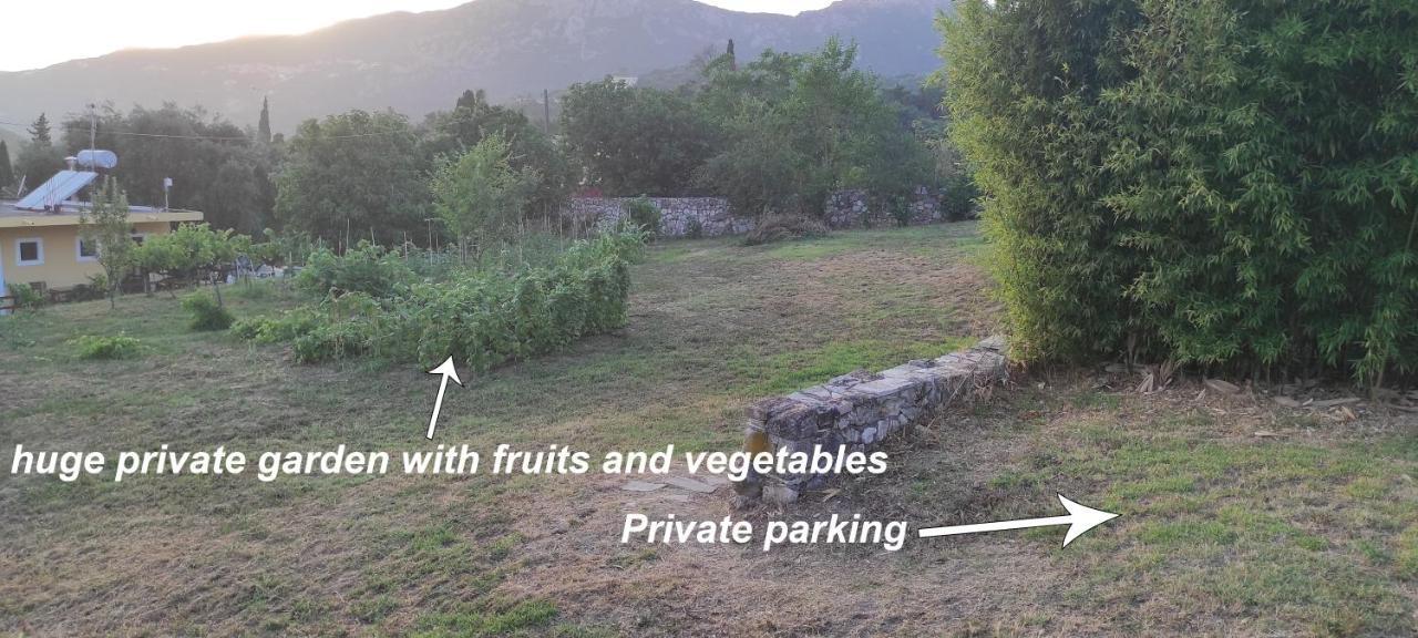 Villa Grecia Λιαπάδες Εξωτερικό φωτογραφία
